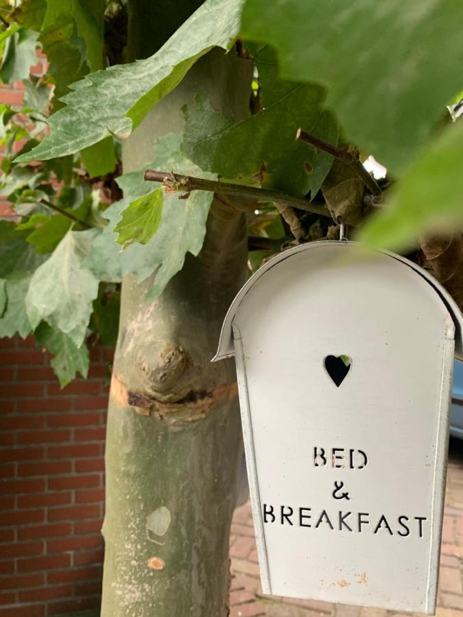 Bed & Breakfast "Aan De Banis" Рейссен Экстерьер фото